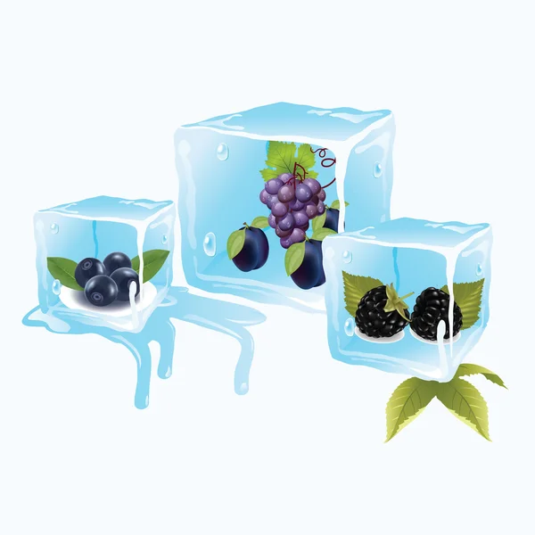 Blueberries in ice cubes — Stock Vector