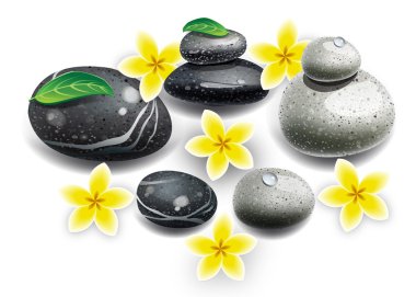 Spa çiçek taşlar