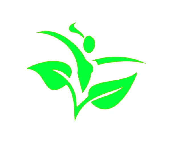 Logotipo das plantas fêmeas — Vetor de Stock