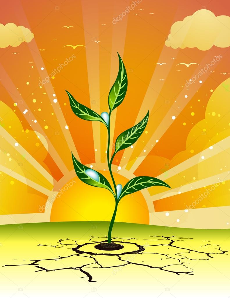 Young plant shoot. Seedling germination. Sprout on the pile of soil. Plants  growing. Stock Vector | Adobe Stock, image size:791x1024