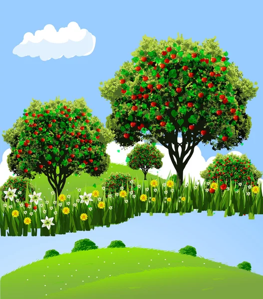 Landschap appelboomgaard — Stockvector