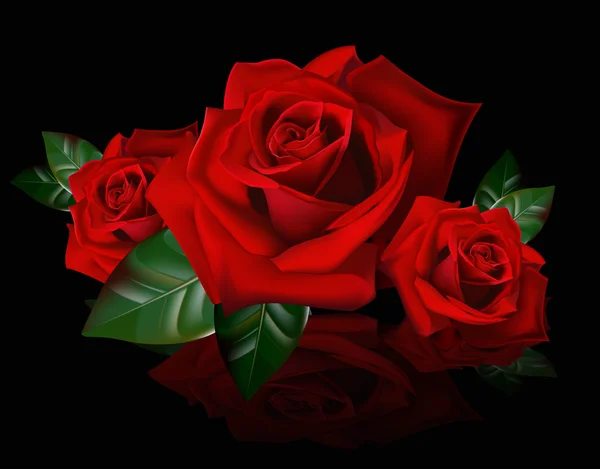 Strauß roter Rosen mit Reflexion — Stockvektor