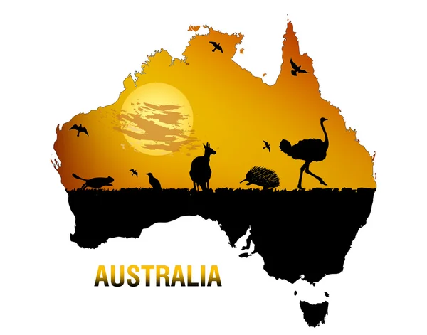 Fauna austrália — Vetor de Stock