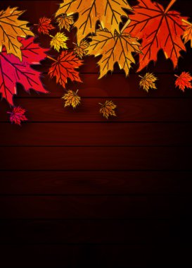 ahşap kurullarında sonbahar yaprakları