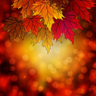 Sonbahar bir arka plan bokeh sonbahar yaprakları