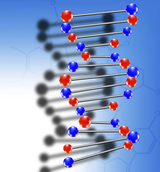 DNA molecule — Stock Vector