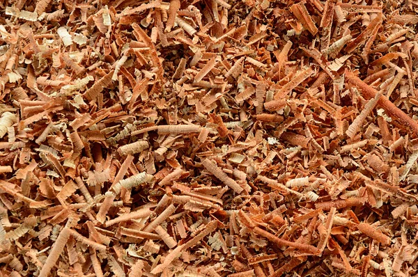 Wood shavings or sawdust background — Stock Photo, Image