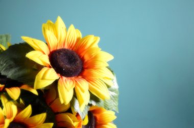 sarı çiçek bulanıklık