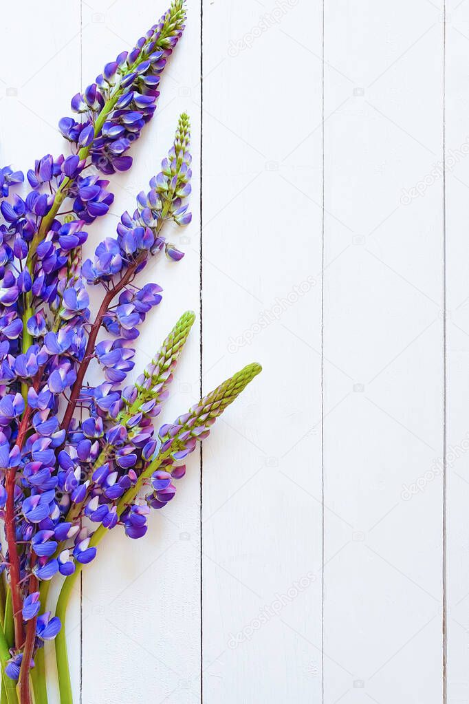 Flower frame of blue lupins on white wood background. Free space for your product or text. Floral flatlay, top view. Vertical photography.