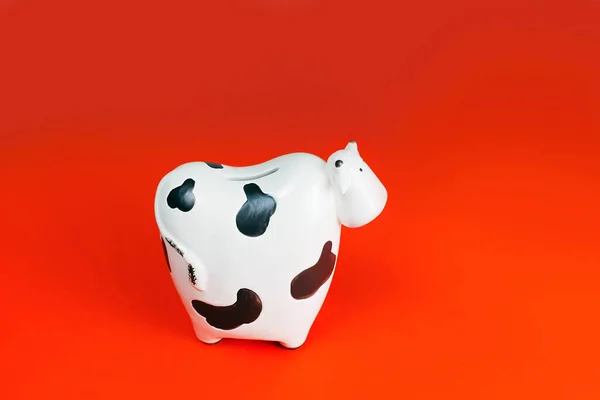 Dinero Caja Vaca Sobre Fondo Rojo — Foto de Stock