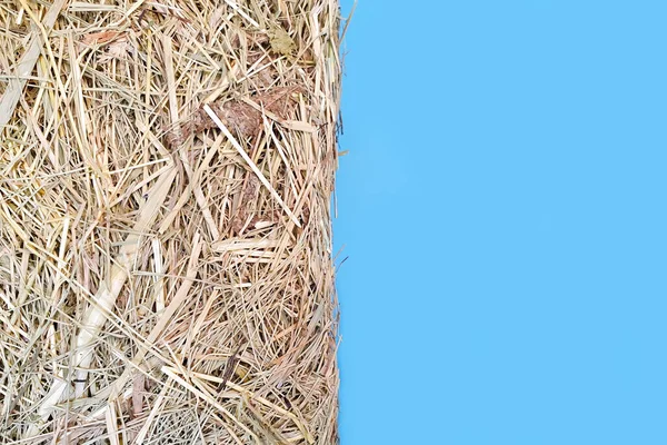 干し草の質感と青の背景トップビューコピースペース — ストック写真
