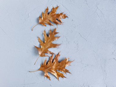 Altın yapraklar gri dokulu arka planda sınırdır. Metnin ya da ürünün için yer. Üst görünüm, alanı kopyala.