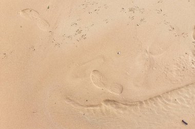 Kumsalda kuş ve insan ayak izleri. Üst görünüm, doku, yaz arkaplanı