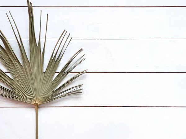 Abanico Natural Hoja Palma Seca Sobre Fondo Tabla Madera Blanca — Foto de Stock