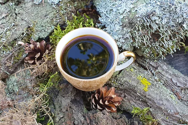 Copa Café Musgo Verde Del Bosque Flatlay Verano — Foto de Stock