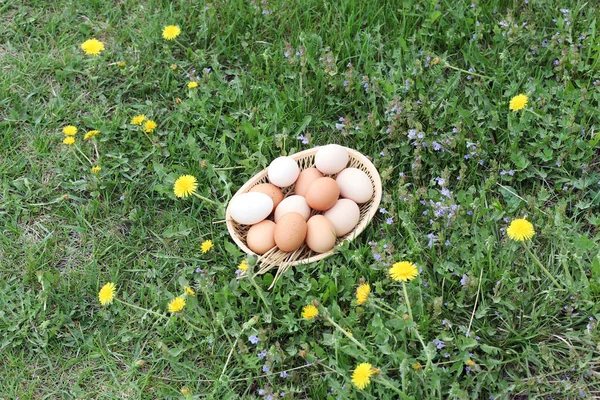 Huevos Blancos Marrones Gallinas Domésticas Cesta Sobre Hierba Verde Fondo — Foto de Stock