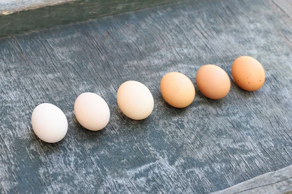 Línea Huevo Gradación Color Huevos Blancos Marrones Gallinas Domésticas Sobre — Foto de Stock