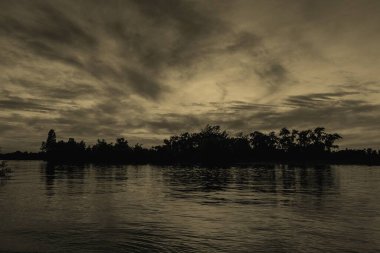 sakin nehir manzarası ve bulutlu arka planda ağaçlar, doğa konsepti