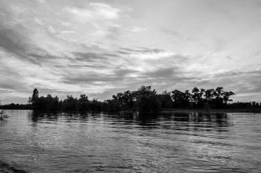 sakin nehir manzarası ve bulutlu arka planda ağaçlar, doğa konsepti