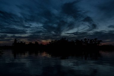 sakin nehir manzarası ve bulutlu arka planda ağaçlar, doğa konsepti