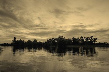 sakin nehir manzarası ve bulutlu arka planda ağaçlar, doğa konsepti