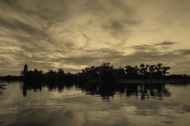 sakin nehir manzarası ve bulutlu arka planda ağaçlar, doğa konsepti
