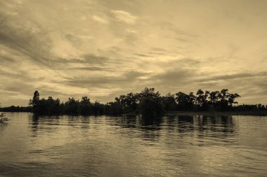 sakin nehir manzarası ve bulutlu arka planda ağaçlar, doğa konsepti