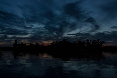 sakin nehir manzarası ve bulutlu arka planda ağaçlar, doğa konsepti