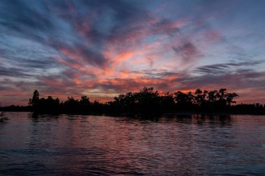 sakin nehir manzarası ve bulutlu arka planda ağaçlar, doğa konsepti