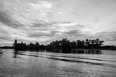 sakin nehir manzarası ve bulutlu arka planda ağaçlar, doğa konsepti