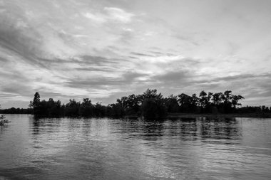 sakin nehir manzarası ve bulutlu arka planda ağaçlar, doğa konsepti