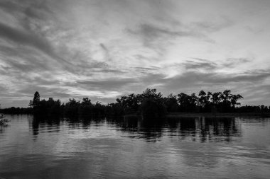 sakin nehir manzarası ve bulutlu arka planda ağaçlar, doğa konsepti