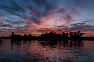 sakin nehir manzarası ve bulutlu arka planda ağaçlar, doğa konsepti