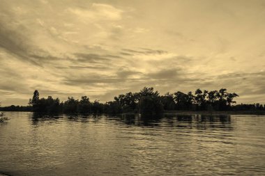 sakin nehir manzarası ve bulutlu arka planda ağaçlar, doğa konsepti