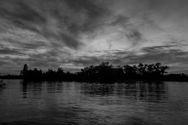 sakin nehir manzarası ve bulutlu arka planda ağaçlar, doğa konsepti