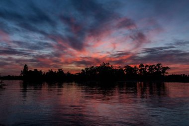 sakin nehir manzarası ve bulutlu arka planda ağaçlar, doğa konsepti