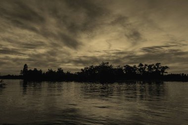 sakin nehir manzarası ve bulutlu arka planda ağaçlar, doğa konsepti