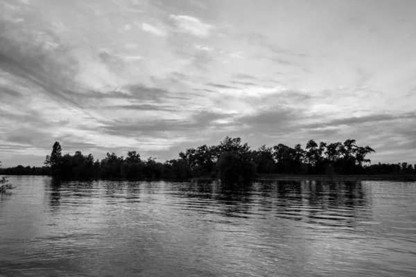 sakin nehir manzarası ve bulutlu arka planda ağaçlar, doğa konsepti