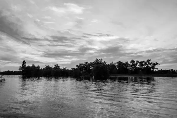 sakin nehir manzarası ve bulutlu arka planda ağaçlar, doğa konsepti