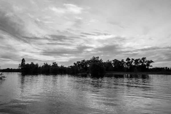 sakin nehir manzarası ve bulutlu arka planda ağaçlar, doğa konsepti