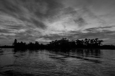 sakin nehir manzarası ve bulutlu arka planda ağaçlar, doğa konsepti