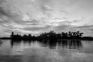 sakin nehir manzarası ve bulutlu arka planda ağaçlar, doğa konsepti
