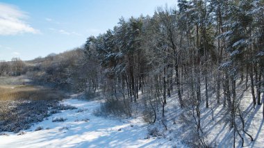 Karlı orman. Hava manzaralı. Kışın insansız hava aracından vuruldu. güzel gölge