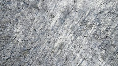 Karlı orman. Hava manzaralı. Kışın insansız hava aracından vuruldu. güzel gölge