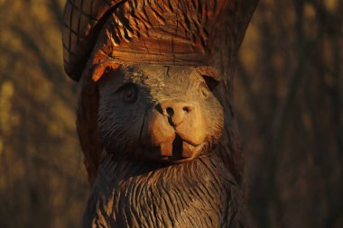 drewniana   figura   zwierzaka   bobra   nad  brzegiem   rzeki  widok  z  bliska