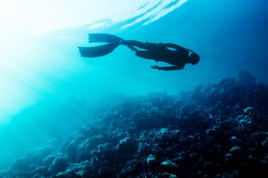 Freediver swim in the sea clipart