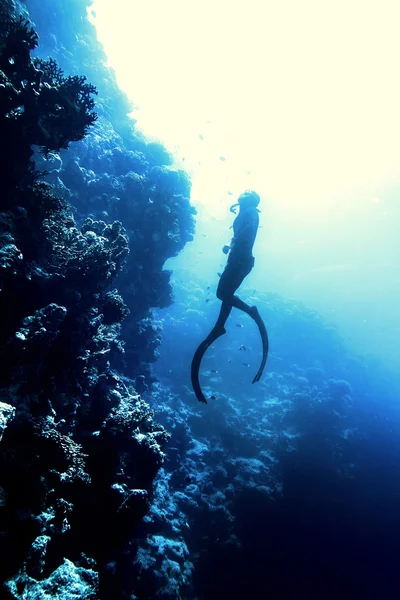 Freediver nadar no mar — Fotografia de Stock