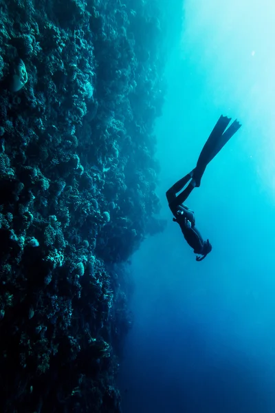 Freediver nadar no mar — Fotografia de Stock