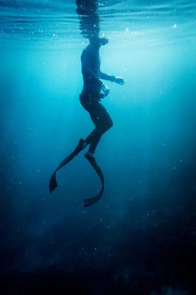 바다에서 Freediver 수영 — 스톡 사진