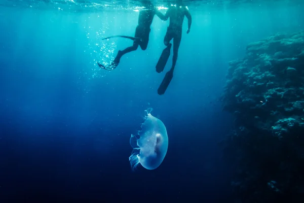 바다에서 Freediver 수영 — 스톡 사진